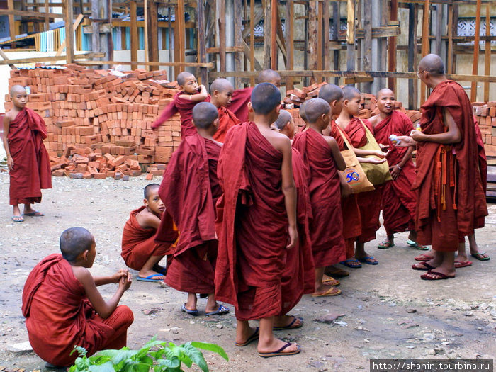 Монахи и монашки Мьянма