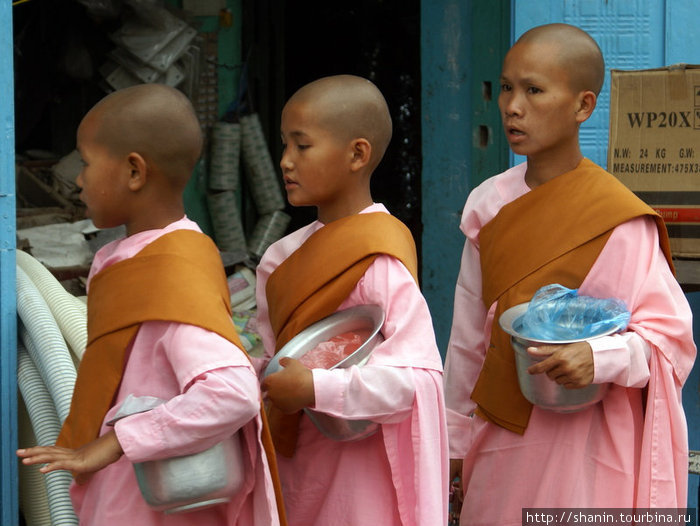 Монашки в очереди за подношением Мьянма