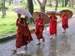 Монахи под зонтиками