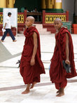 Монахи в Янгоне