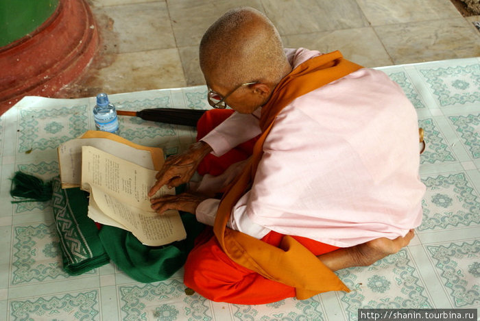 Увлеченная чтением монашка Мьянма
