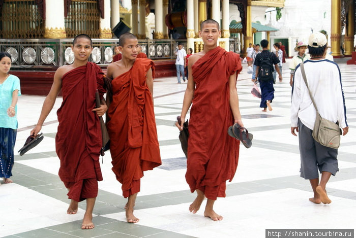 Монахи Мьянма