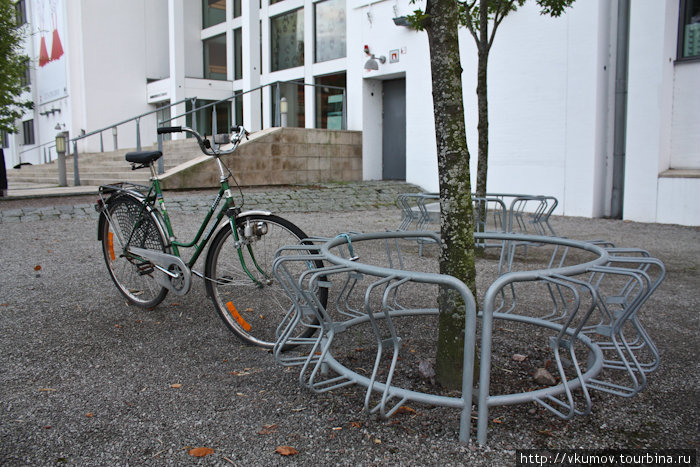 И велостоянки вокруг деревьев. Хельсингборг, Швеция