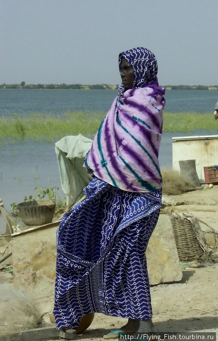 Западная Африка. Чуден Нигер при тихой погоде. Мали