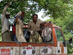Рабочие в кузове грузовика