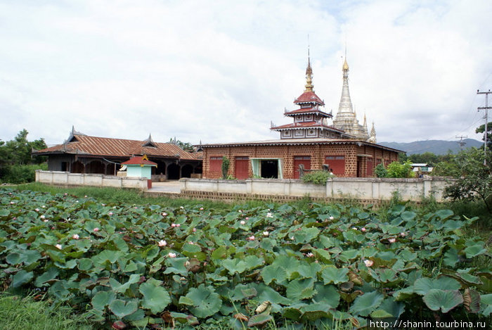 Монастырь и заросли лотоса Ньяунг-Шве, Мьянма