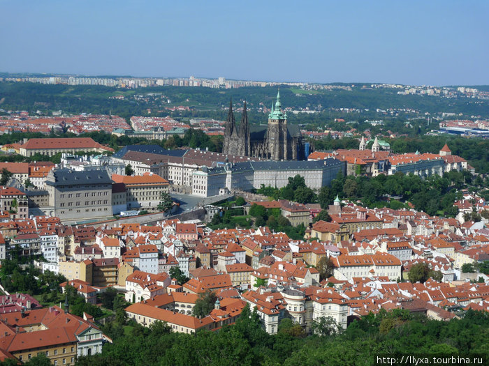 Вид с Эфилевой башни на собор св Витта Чехия
