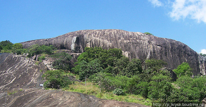 Храм находится на высокой скале Дамбулла, Шри-Ланка
