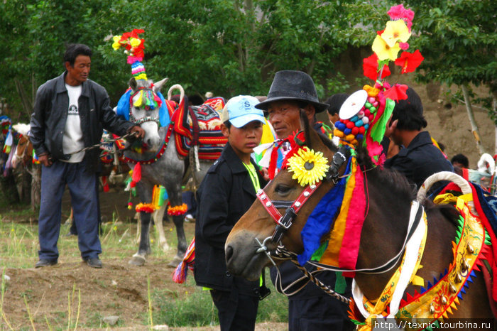 Тибет, фестиваль, лошадиные скачки Тибет, Китай