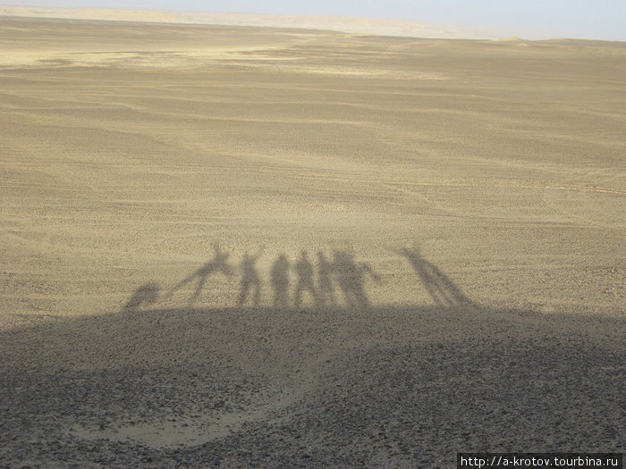 В походе по пустыне Сахара Египет