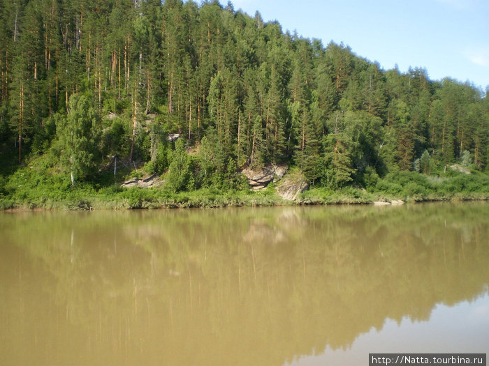 Река Лебедь Республика Алтай, Россия