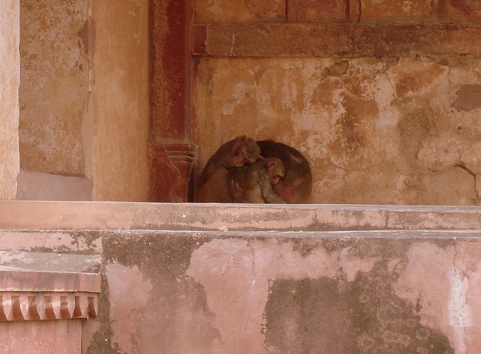 папа, мама, я — спящая семья Фатехпур-Сикри, Индия