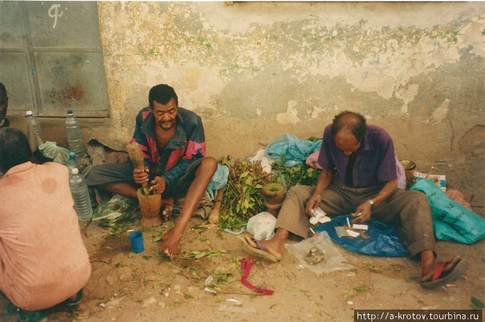 Наркоманы перетирают чат (наркотический лист) Харэр, Эфиопия