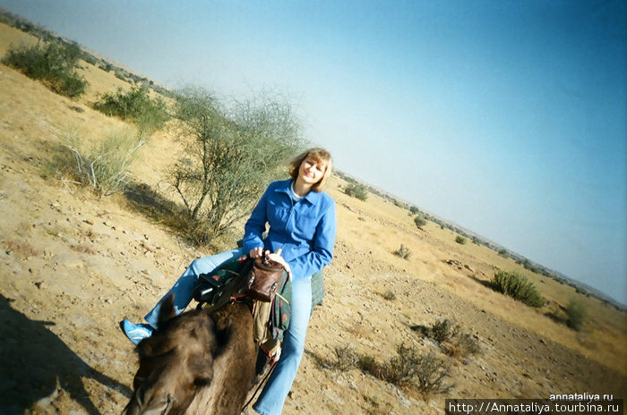 Моя на верблюде. :)) Джайсалмер, Индия