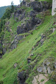 На склонах гор пасутся самые настоящие козы. Они даже на схеме замка обозначены)
