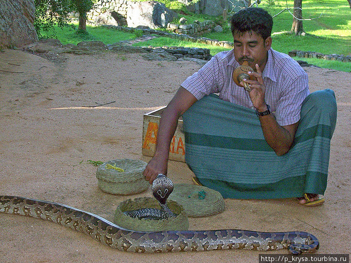 Заклинатель змей на Сигирии Сигирия, Шри-Ланка