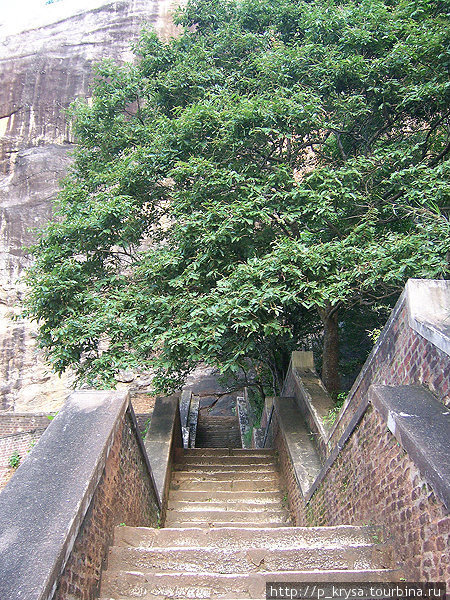 Взобраться на скалу можно было по лестнице, берущей начало у подножия скалы между лап гигантского льва, высеченного в камне. Сигирия, Шри-Ланка