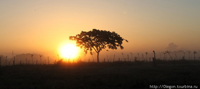 Проснувшись в поле, утром на рассвете Куба