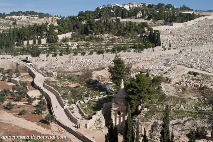 Обзорный по Иерусалиму Иерусалим, Израиль