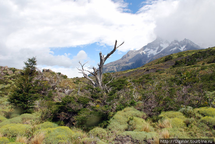 Прогулки по горным тропам Торрес-дель-Пайне Национальный парк Торрес-дель-Пайне, Чили