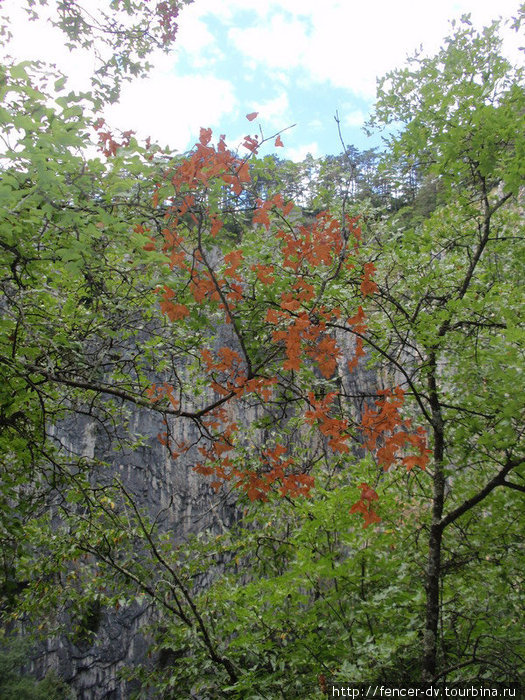 Осень наступает уже в июле) Шкоцянские пещеры, Словения