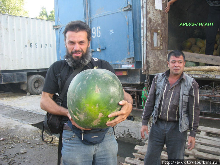 огромный арбуз (20+ кг) Душанбе, Таджикистан