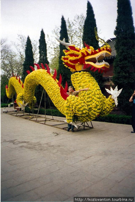 Дракон, сделанный из живых цветов при входе в усадьбу Пу Сонли. Цзыбо, Китай