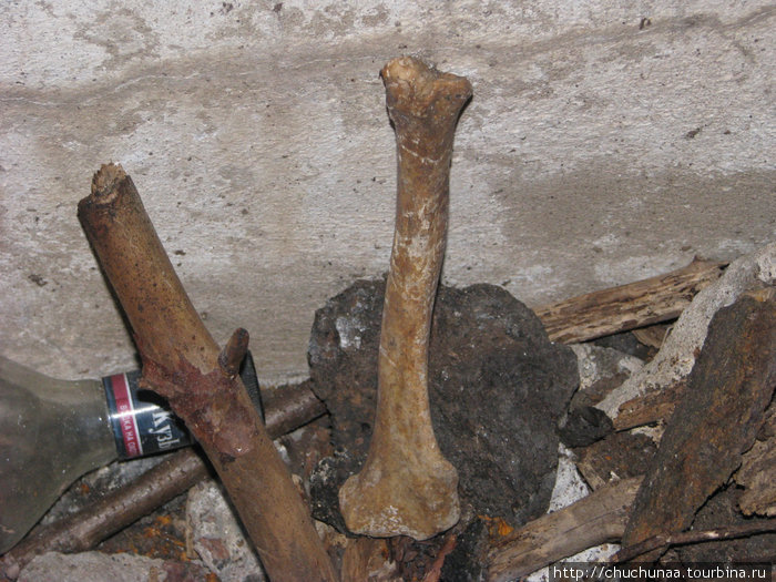 У самого входа в подземелья форта находим чьи-то бренные останки. Песочное, Россия