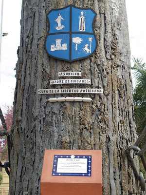 Герб Асунсьона на его монументе