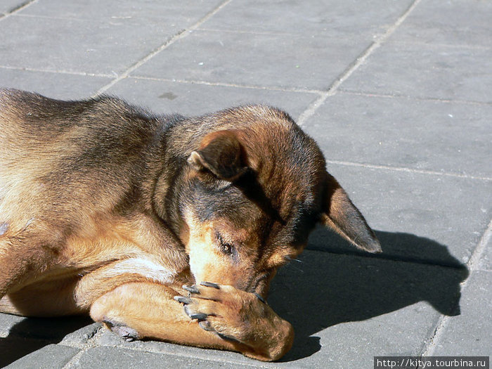 Тайланд: куча мала Бангкок, Таиланд