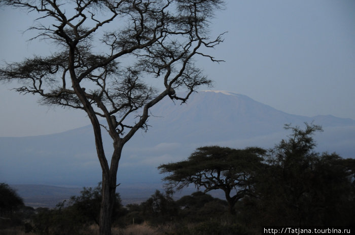Климанджаро можно наблюдать только с 6 до 7 утра -потом гора стоит за облаками и ее можно только чувствовать-  так  я поделилась своими ощущениями с шофером: (i can not seen it , but i can feel it) Кения