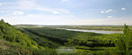панорама на реку белая