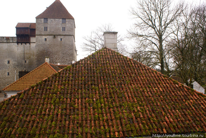 красные крыши строений Курессааре, остров Сааремаа, Эстония