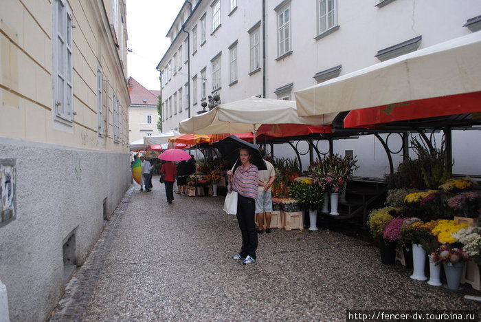 Цветочные базары совсем не похожи на наши: почти никаких роз, зато много ярких полевых цветов Любляна, Словения