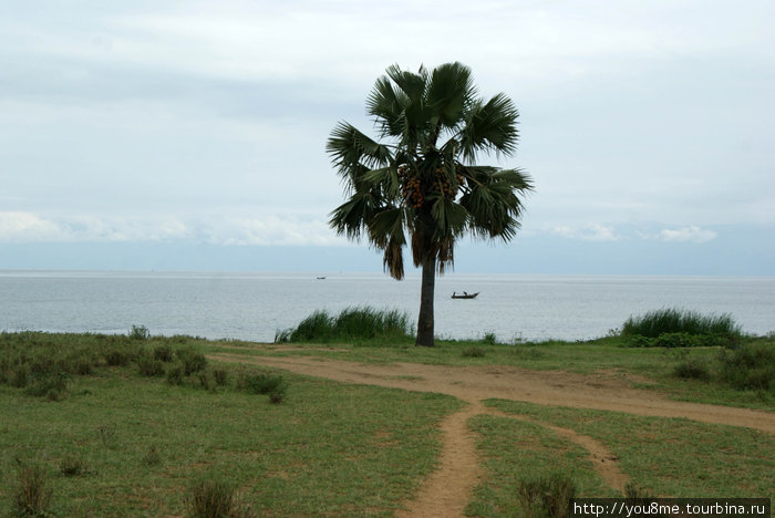 на той стороне ДР Конго (Заир) Озеро Альберт, Уганда