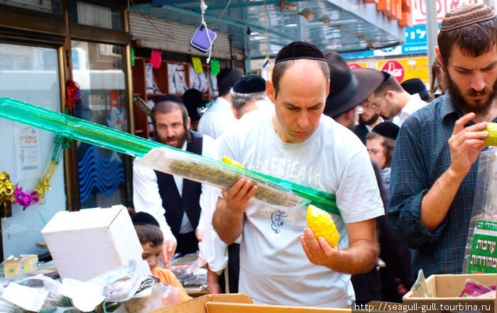 Праздник кущей у евреев-ортодоксов Бней-Брак, Израиль