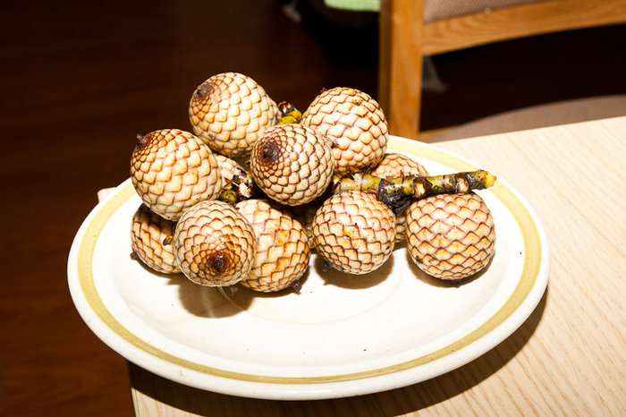 Rattan fruit он же Литтуко  – странные доисторические ягоды в кожуре. Внутри темно-коричневые с большой косточкой. Ужасно кислые. Видимо для соусов или в чай – так есть нереально Филиппины