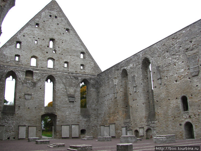 Монастырь Св.Биргитты Таллин, Эстония