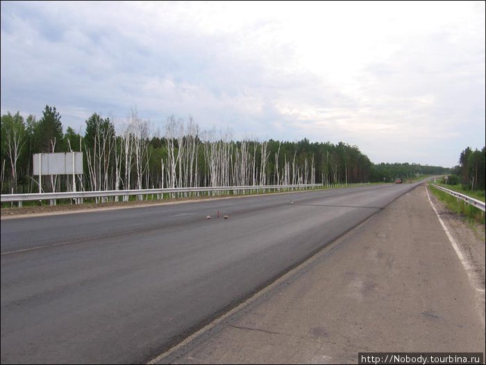 Поворот на Свободный. Рассвет. Абсолютно новая — и абсолютно пустая дорога... Амурская область, Россия