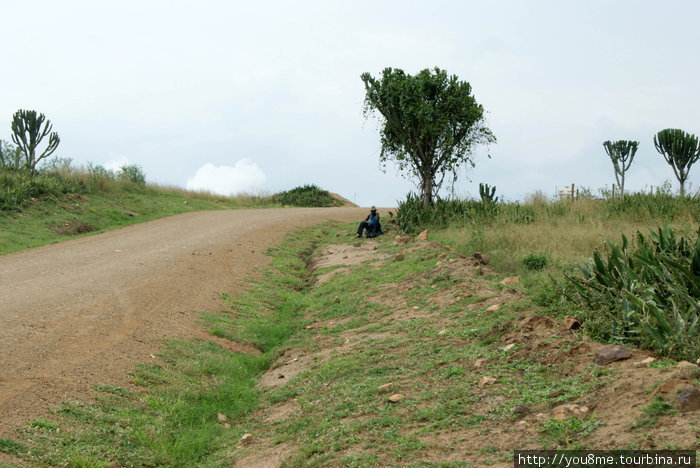 в ожидании на дороге Озеро Альберт, Уганда