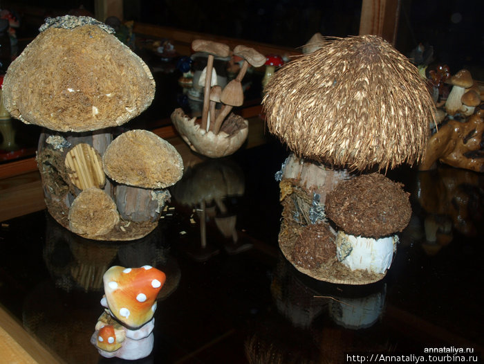 Коллекция грибов Друскининкай, Литва