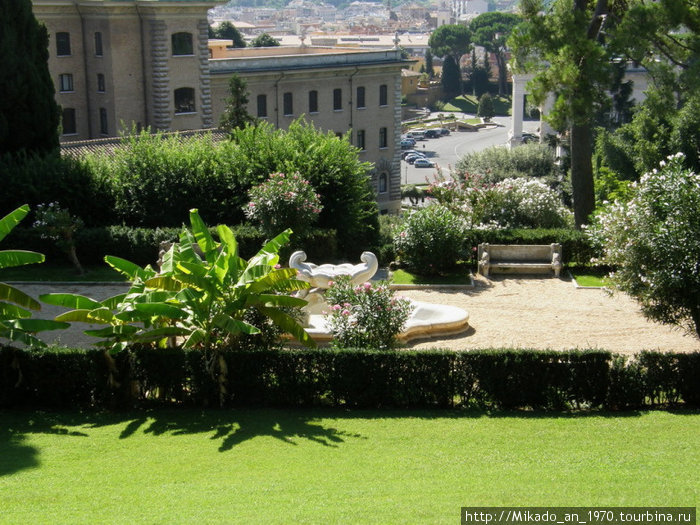Небольшой фонтан среди пальм Рим, Италия
