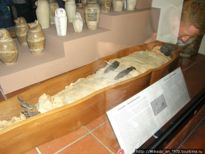Мумия в египетском зале музея Ватикана Рим, Италия