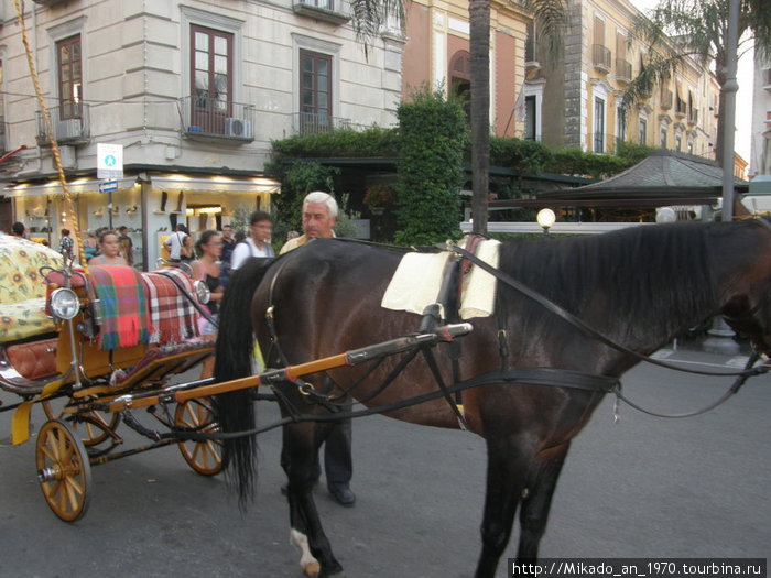 Конная повозка — как транспорт для туристов Помпеи, Италия