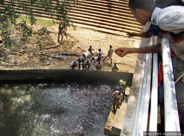 Катарагама. Вся рыба в священной реке Меник-Ганга собирается в одном месте. Южная провинция, Шри-Ланка