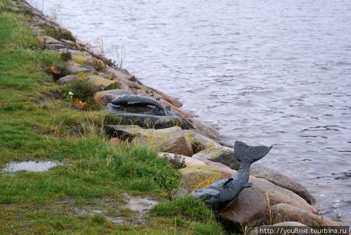 берег залива с остатками улова богов Курессааре, остров Сааремаа, Эстония