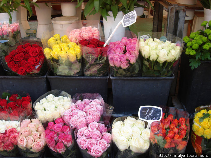 Цветочный базар — шокирует доступными ценами и вводит в замешательство живыми и искусственными цветами, кои невсегда отличишь Ницца, Франция