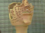 Античная маска для проведения пластических операций