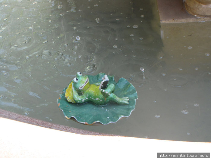 Фонтан Классический, а в нем — на листке кувшинки плавает забавный лягушонок, занятый чтением книги. Кабардинка, Россия
