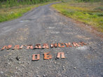 Магаданская область начинается с того, что в кустах можно обнаружить старые буквы, отвалившиеся со старого щита, который раньше приветствовал всех при въезде в область.